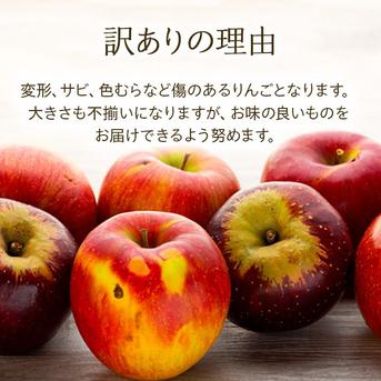 シナノリップ】訳あり約3kg りんご 2026年度予約受付中 新品種 長野県