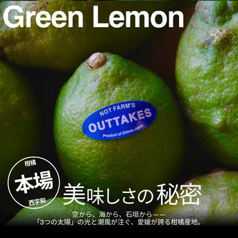 美味しさそのまま】訳ありグリーンレモン 10kg 愛媛県産 ｜ 果物/香酸