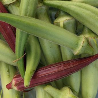 無農薬】採れすぎ夏野菜のメガ盛お楽しみ箱 80サイズ ｜ 野菜/野菜