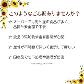 送料無料】国産天然山菜 わらび水煮150g×2袋 ｜ 野菜/野菜の加工品