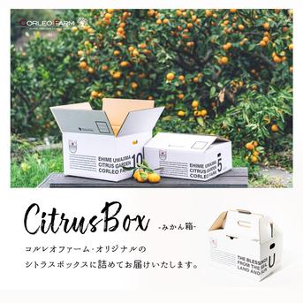 ☆送料無料の豊作セール☆【訳ありBセレクション】熟成 今津ポンカン