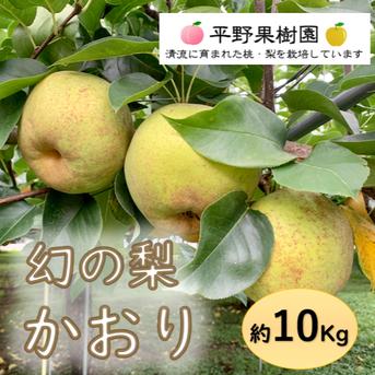二箱　かおり　梨　バラ詰め　家庭用　産地直送 清流球磨梨・かおり 約10kg【5kg箱(5〜14個入り)を2箱重ねてお届け