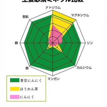 冷蔵便発送【愛知県産】40本以上 スプラウト青空にんにく（発芽にんにく） 40本以上 野菜/にんにく通販