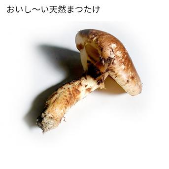国産天然松茸】300g前後(280~330g) 山形産 松茸ごはん 焼き松茸 土瓶