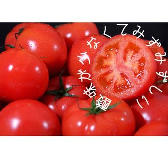 受賞歴３回‼️ソムリエトマト4kg（１８玉～３０玉) 約4kg 野菜/トマト通販