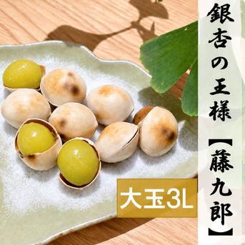 2026年＊新物》＊1番人気＊祖父江産 銀杏 藤九郎大玉3Lサイズ500g