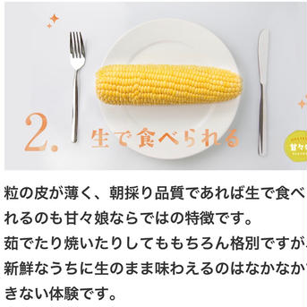 ワケあり！甘々娘or甘太郎　4～７本入り　電子レンジでチン！パック入り 1.5kg 野菜/とうもろこし通販