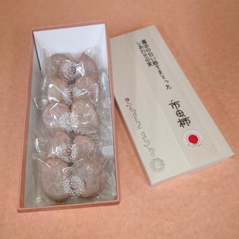 年内12月下旬発送 南信州特産 市田柿 白箱5袋入（2個包×5袋