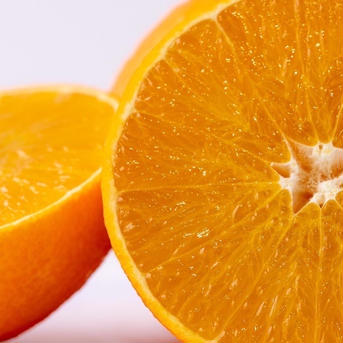 🍊お得！🍊天晴まどんな　ギフト用　１０個 10個 果物/温州みかん通販