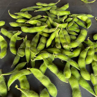 やちファーム夏の茶豆。なまらウマイ 4kg 野菜/枝豆通販
