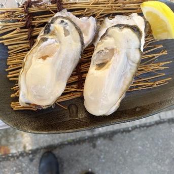 三陸の生食用牡蠣剥き身500g 500g 魚介類/牡蠣通販