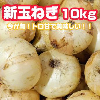 【収穫数限定】トロ甘 訳あり 新玉ねぎ10kg 収穫数限り！佐賀県産 箱込10kg（9kg＋1kgオマケ） 野菜/玉ねぎ通販