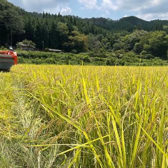 農家直送】青森県産もち米 あかりもち9.5kg 精米済み 送料込み
