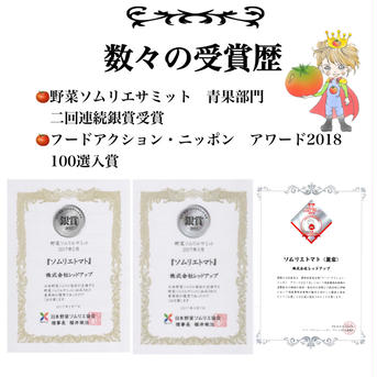 【規格外】ソムリエトマト　小玉4.5〜6.5kg（約60玉〜90玉） 4.5〜6.5kg 野菜/トマト通販