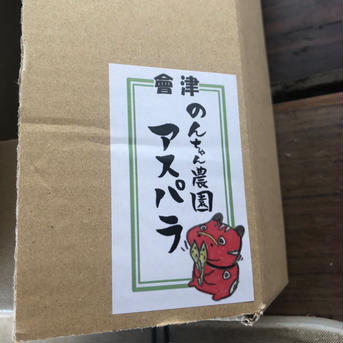 会津産のんちゃん農園の太物春芽ふぞろいアスパラガス 約１Kg 野菜/アスパラガス通販
