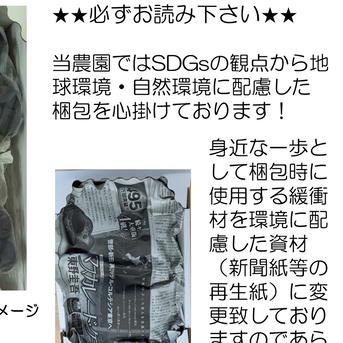 【カナダ人農園主の真心を込めた】皮ごと食べられる雄宝(ゆうほう)約2ｋｇ（ご家庭用） 雄宝２㎏ 果物/ぶどう通販