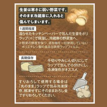 鮮度そのまま、新価格】特別栽培 高知県産 香り大生姜 500g ｜ 野菜
