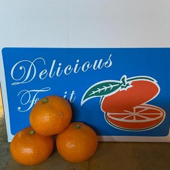 【精品】南柑20号3kg 3kg 果物/温州みかん通販