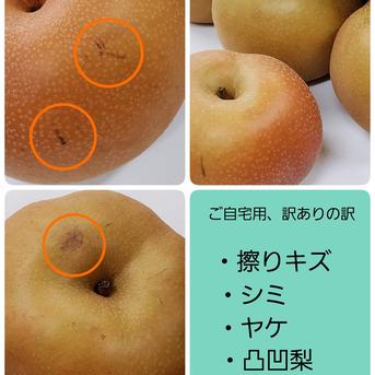【クール便発送商品】8月収穫梨！訳ありご家庭用梨！サイズいろいろはいります！4ｋｇ！ 4 果物/梨通販