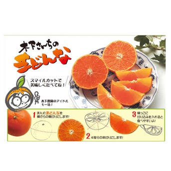 まどんな 家庭用5キロ（箱込み） | 果物/オレンジ・その他みかん 産直