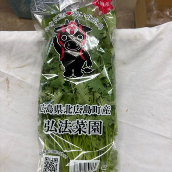 選ばれし若穫りパクチー 500g ｜ 野菜/ハーブ 産直アウル 農家・漁師
