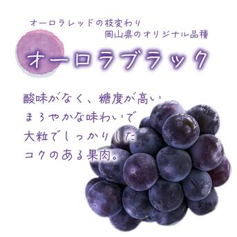BA-2家 花笑み農園 岡山の『BKシードレス＆オーロラブラック』約2kg