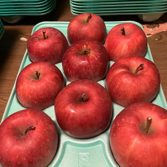 お歳暮ギフト！スペふじ蜜入チェック済3キロ9-13葉取らずスペシャル樹