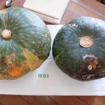 完熟しすぎかぼちゃ🎃（5キロ）激安価格‼️熟れすぎて柔らかくなっ