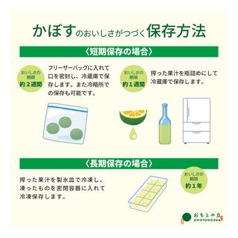 小さくて使いやすい！種無し小玉かぼす2kg（約40～60個） 種なしかぼす小玉2kg 果物/香酸柑橘(ライム・レモン等)通販