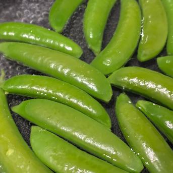 新鮮 ニムラ スナップえんどう 野菜 豆 スナップエンドウの種【ニムラ