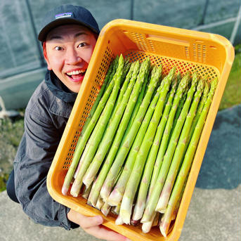 👑送料無料👑【極み】２kg 🥇その日採れた最上級🥇おおもりやアスパラ 極み　2kg 野菜/アスパラガス通販