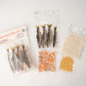 仁淀ブルー友釣あゆのパエリアセット 約2人前　2セット 魚介類/魚介セット・詰め合わせ通販
