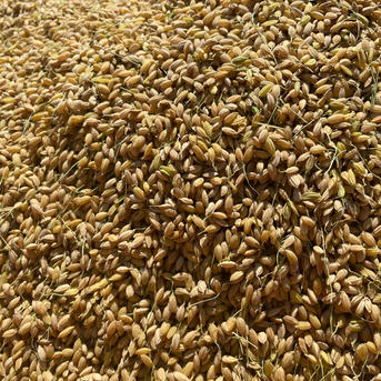 にこまる 令和7年 新米🌾 和歌山県産 ｜ 米・穀物/米/精米 産直アウル