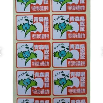 特大サイズの北斗、家庭用、おぐら農園イチオシの品種５キロ、一段箱、10個～11個 ５キロ、一段箱、10個～11個 果物/りんご通販