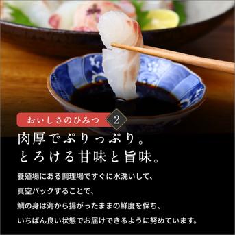 【着日指定◎】お正月に食べたいブランド真鯛！３枚下ろし・皮あり【正月予約】 皮あり　１〜1.2kg(処理前) 魚介類/鯛通販