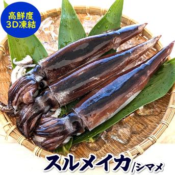 スルメイカ（冷凍）大　４杯×約400-499ｇ　個包装　お刺身OK！　塩辛作るならおすすめなサイズ感 大　４杯×約400-499ｇ 魚介類/イカ通販