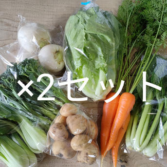 S様専用週1回発送①〜④★規格外の無農薬野菜セット2倍量　 規格外5品の2倍 野菜/野菜セット・詰め合わせ通販