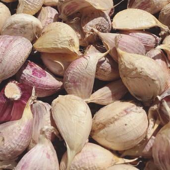 使ってお得なバラしにんにく 1kg 野菜/にんにく通販