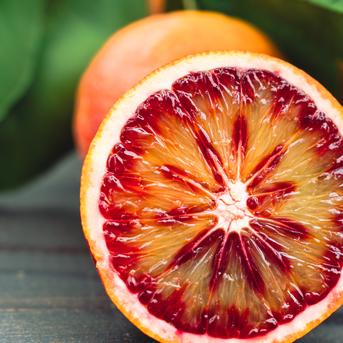 ☆送料無料☆<農園イチオシ柑橘>【EHIME UWAJIMA】ブラッドオレンジ