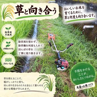 令和8年産。徳島県産。あきさかり。玄米。30キロ。お米。新米。農家