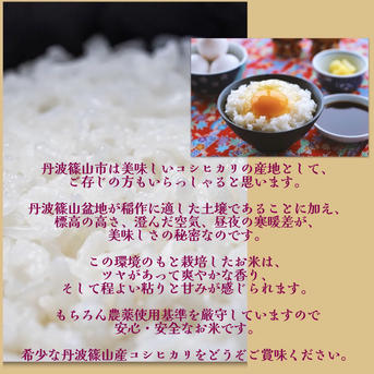 6周年限定】【白米】新米 令和7年丹波篠山産コシヒカリ 15kg ｜ 米 