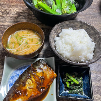 新米 玄米 SAKAVEGE米🌾 ｜ 米・穀物/玄米 産直アウル 農家・漁師など