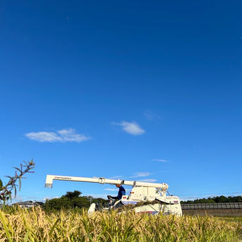 ◆栽培期間中無農薬◆令和7年収穫 ◆滋賀県産キヌヒカリ、玄米20キロ⑤ ◇栽培期間中無農薬◇令和7年収穫 ◇滋賀県産キヌヒカリ、玄米10