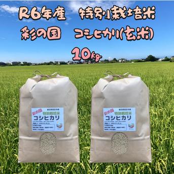R6年産　特別栽培米　彩の国　コシヒカリ（玄米）　5㎏×2袋 10㎏ 米・穀物/玄米通販