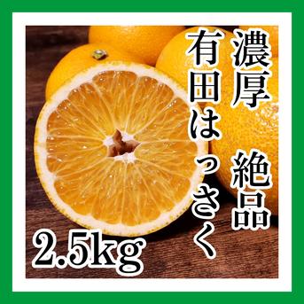【八朔(はっさく) ご家庭用 2.5kg】サイズ混合　和歌山県有田市　産地直送 2.5kg(箱込み)＋補償分増量 果物/その他柑橘類通販