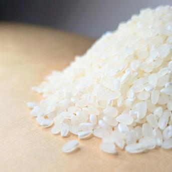 令和7年 新米】京都府産 お米 コシヒカリ 【精米済 10kg】 | 米・穀物