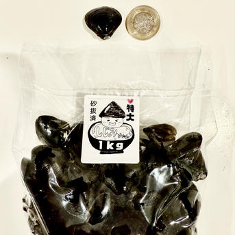 木曽川産 超特大 大和しじみ 購入後トークにて日時指定OK | 魚介類