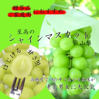 産地直送】 シャインマスカット 山梨県産 3〜5房(2kg程度) ｜ 果物