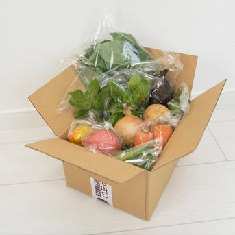 季節の野菜セット(60サイズ) 60サイズ(縦横奥行き合計) 野菜/野菜セット・詰め合わせ通販