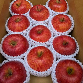 大玉！Lサイズ初雪【サンふじ】秋田県横手市産 約3キロ11個入 | 果物